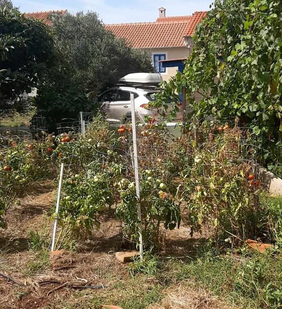 Bed and Breakfast Beko I Dada Olib